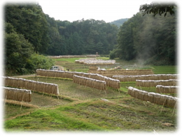 田園風景.png